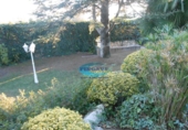Xalet independent amb terreny en venda a Bigues ref.: TR186703 foto
