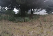 Sòl urbà en venda a Bigues ref.: TR252895 foto