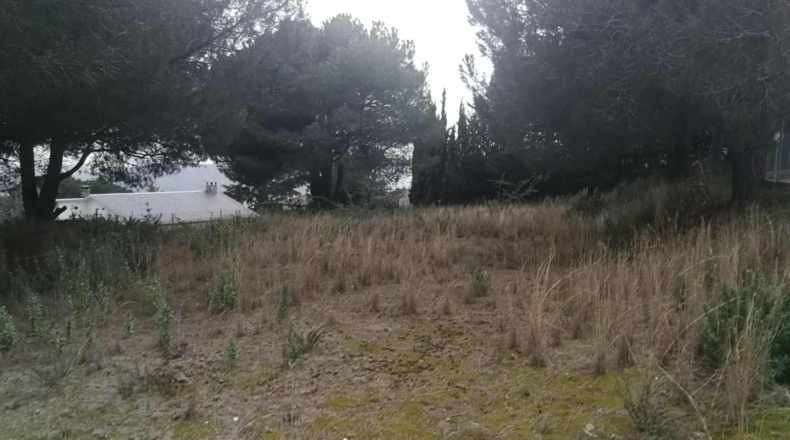 Barcelona - Bigues - 1169m2