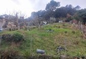 Sòl urbà en venda a Bigues ref.: TR252896 foto