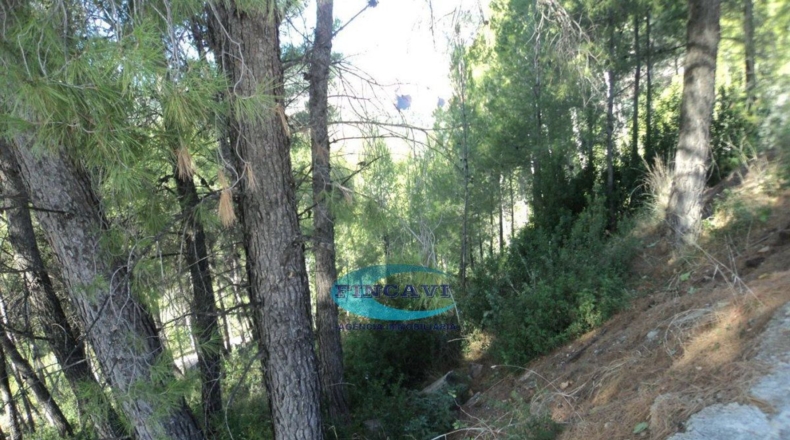 Барселона - Riells del Fai - 1211m2