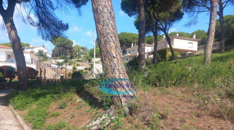 Barcelona - Bigues - 405m2