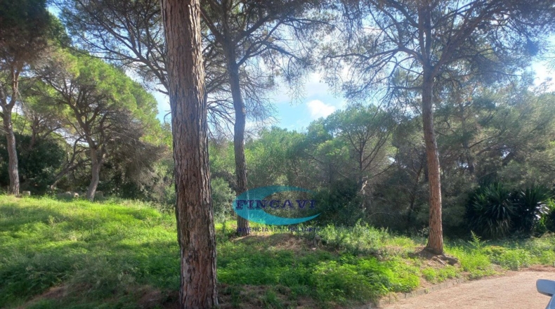 Barcelona - Bigues - 405m2