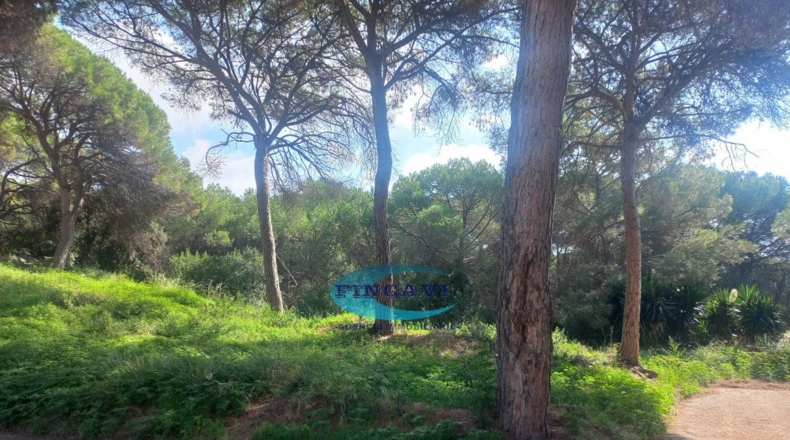 Barcelona - Bigues - 405m2