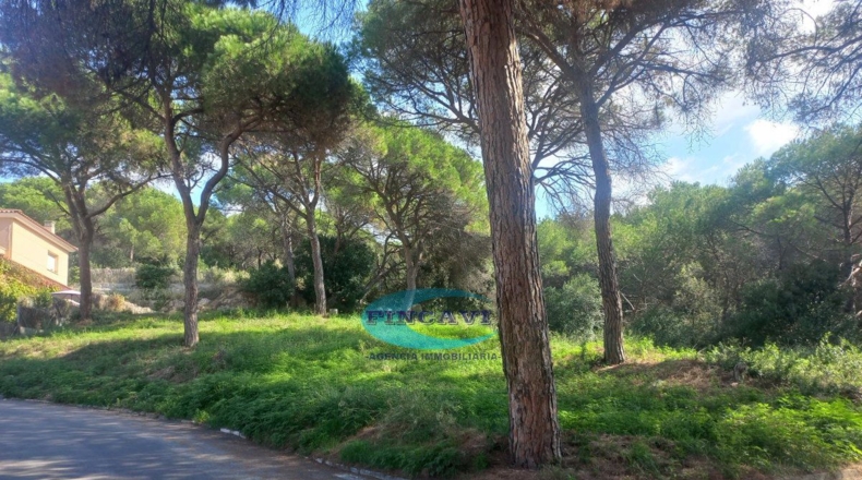 Barcelona - Bigues - 405m2