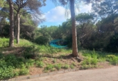 Sòl urbà en venda a Bigues ref.: TR344272 foto