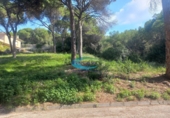 Sòl urbà en venda a Bigues ref.: TR344302 foto