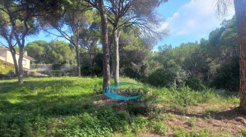 Barcelona - Bigues - 519m2
