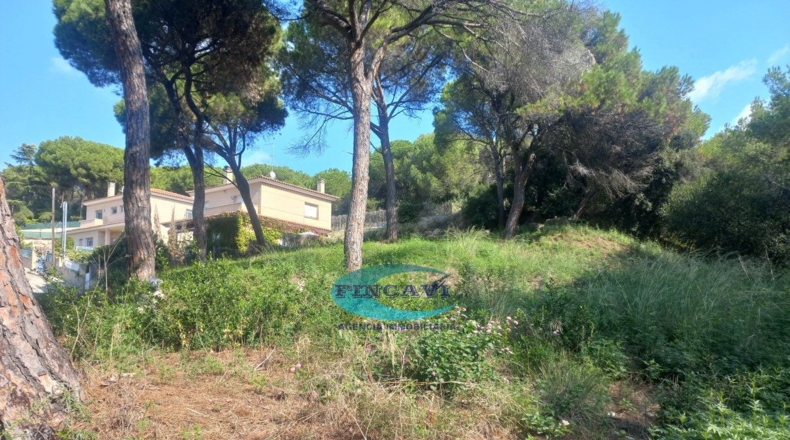 Barcelona - Bigues - 519m2