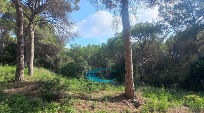 Barcelona - Bigues - 519m2
