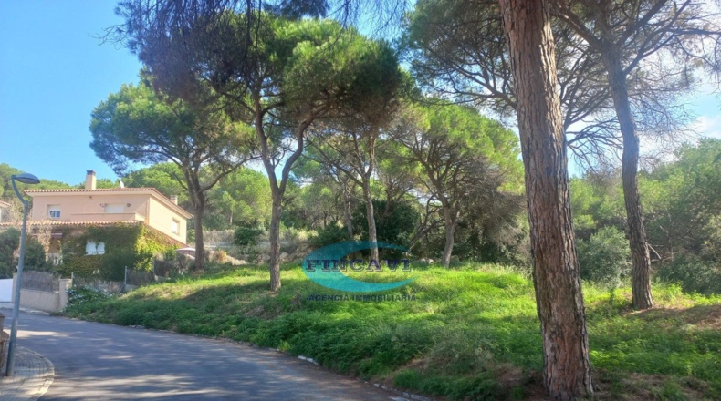 Barcelona - Bigues - 519m2