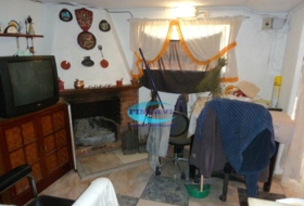 Foto 11