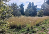 Sòl urbà en venda a Bigues ref.: TR352645 foto
