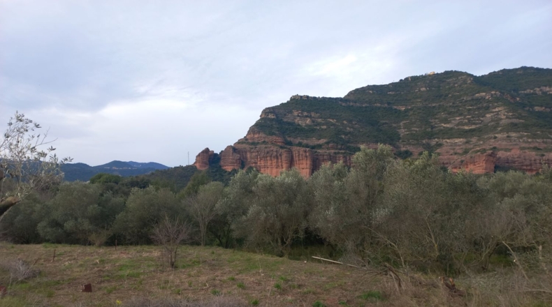 Barcelona - Bigues - 2918m2