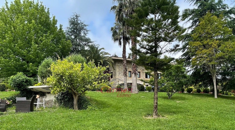 Vizcaya - Lujua - 10000m2