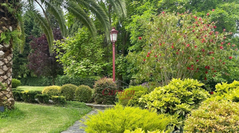 Vizcaya - Lujua - 10000m2