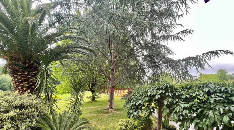 Vizcaya - Lujua - 10000m2