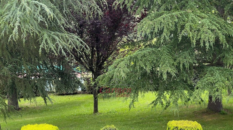 Vizcaya - Lujua - 10000m2