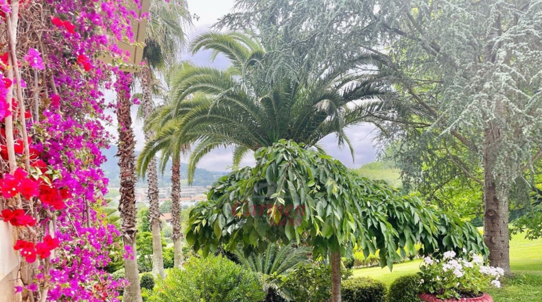 Vizcaya - Lujua - 10000m2