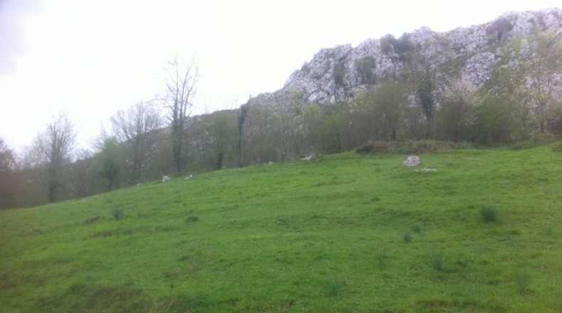 Asturias - Lorio - 8869m2