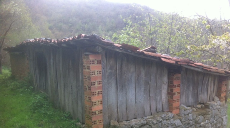 Asturias - Lorio - 8869m2