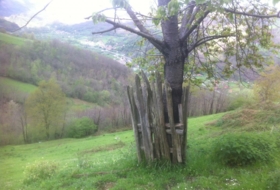 Pola de Laviana 8869&nbsp;m² 