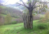 Non-developable land for sale in Pola de Laviana ref: TR34350 photo