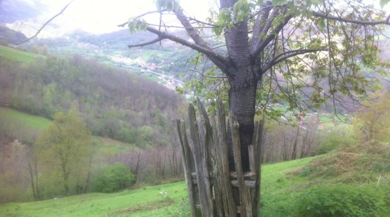 Asturias - Lorio - 8869m2