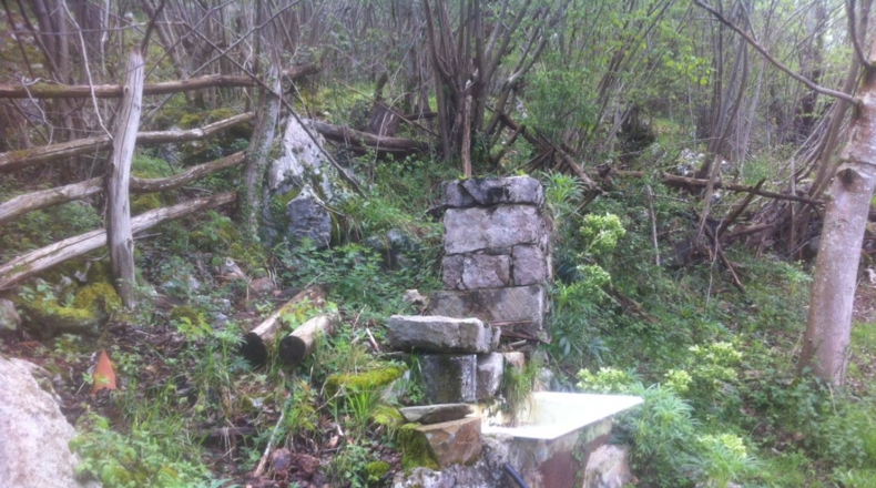 Asturias - Lorio - 8869m2