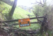 Non-developable land for sale in Pola de Laviana ref: TR34350 photo