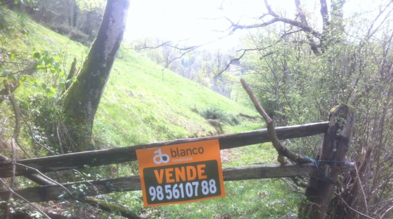 Asturias - Lorio - 8869m2