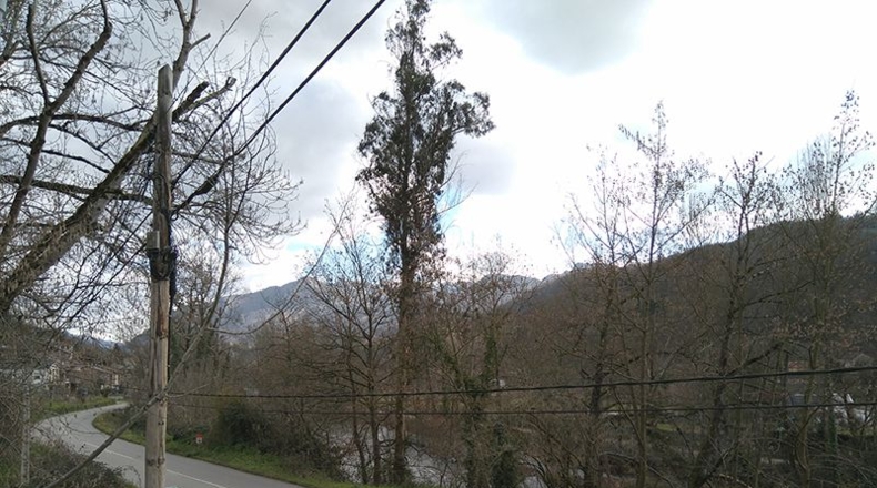 Asturias - La Chalana - 2400m2