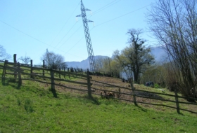 Pola de Laviana 1361&nbsp;m² 