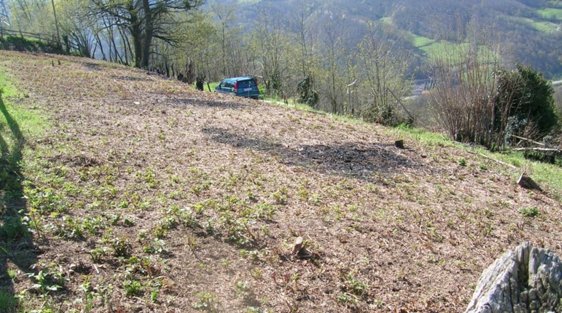 Asturias - Pando - 1361m2
