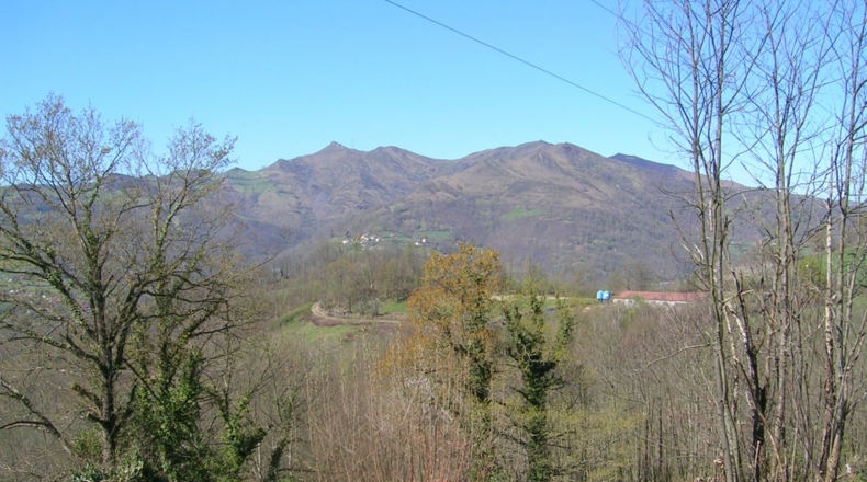 Asturias - Pando - 1361m2
