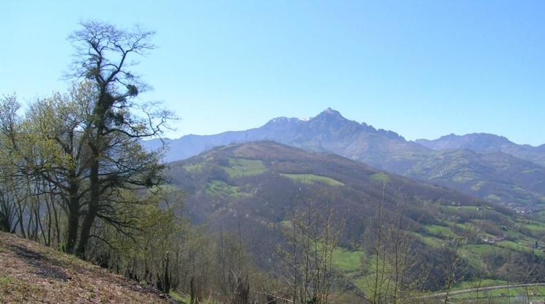 Asturias - Pando - 1361m2