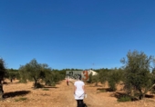 Finca rústica en venta en la España, Pozohondo, ref: TR379689 foto