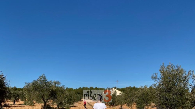 Albacete - Pozohondo - 35000m2