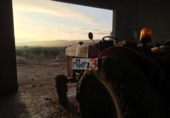 Finca rústica en venta en la España, Pozohondo, ref: TR379689 foto