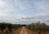 Finca rústica en venta en la España, Pozohondo, ref: TR379689 foto