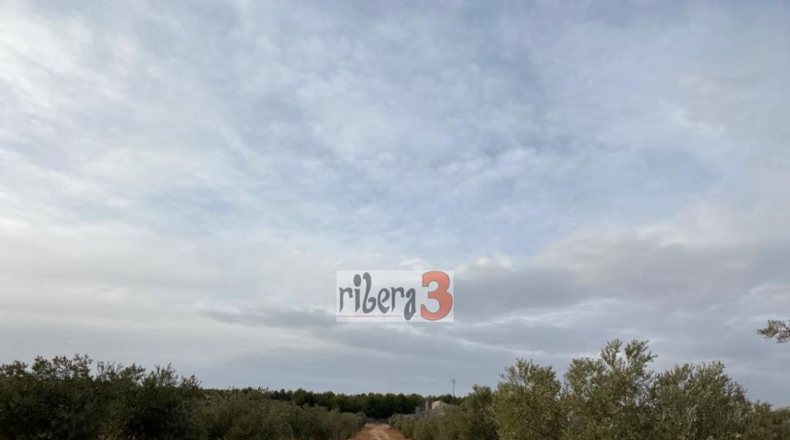 Albacete - Pozohondo - 35000m2