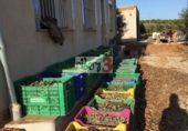 Finca rústica en venta en la España, Pozohondo, ref: TR379689 foto