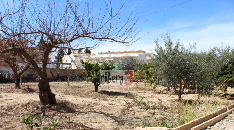 Murcia - San Javier - 1065m2