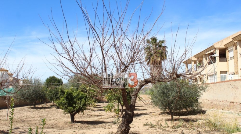 Murcia - San Javier - 1065m2