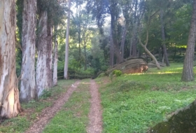 Foto 11