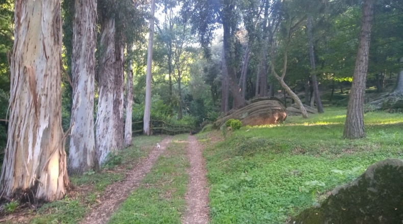Gerona - Sant Esteve de Llémena - 23000m2