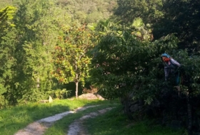 Foto 12