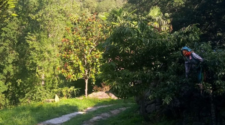 Gerona - Sant Esteve de Llémena - 23000m2