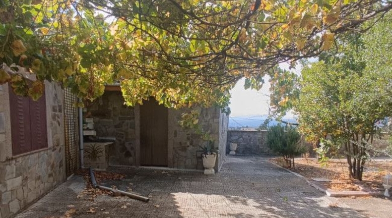 León - Santa Catalina de Somoza - 695m2