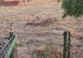 Village house for sale in Astorga ref: TR324130 photo
